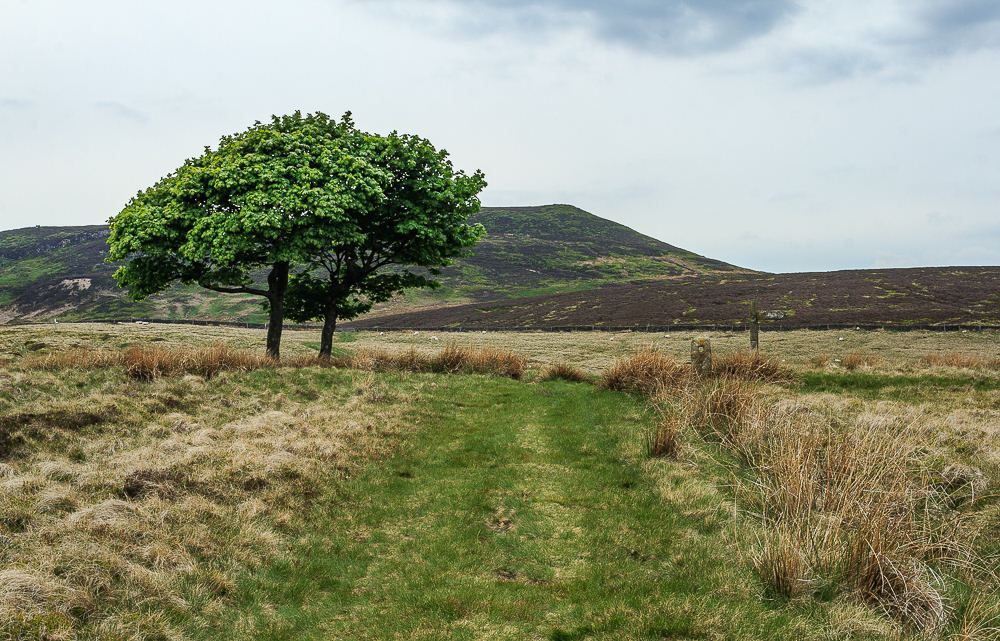 Crookstone Knoll Crookstone Knoll
